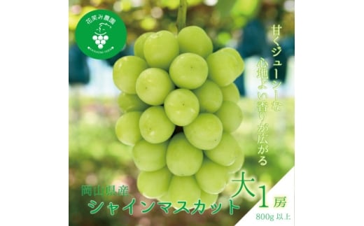 岡山　花笑み農園 の『シャインマスカット』800g以上(大1房)　S-大1　＜9月下旬～順次発送＞【1628327】 2198399 - 岡山県津山市