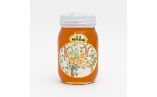 岡山県産 山蜂蜜　600g【1605221】
