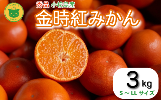 【2025年12月順次発送】　金時紅みかん 3kg みかん 甘い 紅 みかん 柑橘 蜜柑 ミカン ジュース 果汁 徳島県 小松島市  フルーツ 果実