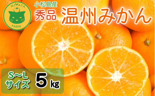【2025年11月順次発送】 みかん 秀品 温州みかん5kg  早生みかん ミカン 蜜柑 甘い フルーツ 柑橘 ジュース 小松島市 5kg オススメ 人気 ふるさと納税