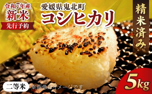 【R7年産新米】愛媛県産 コシヒカリ 5kg ｜ ご飯 白米 お米 令和7年産 5kg 10kg 20kg 精米済み ※2025年10月上旬～12月下旬頃に順次発送予定 ※離島への配送不可
