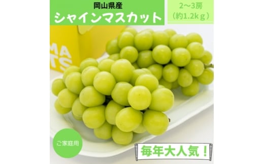 ご家庭用　岡山県産シャインマスカット(クール便)　約1.2kg(2～3房)【1614316】 2198347 - 岡山県津山市