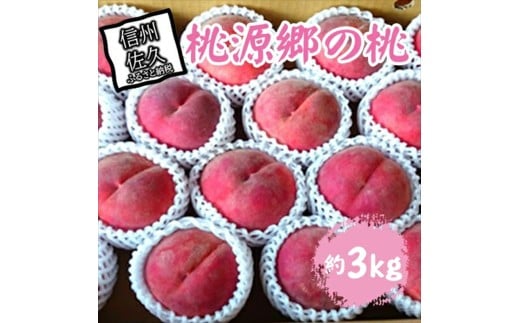 【期間限定】桃源郷の桃 約3kg（2025年8月1日～15日出荷／北海道・沖縄・離島は配送不可）完熟 もも モモ フルーツ 産地直送 旬 信州 長野 佐久市 旬彩 品種指定なし 玉数指定なし 2197360 - 長野県佐久市