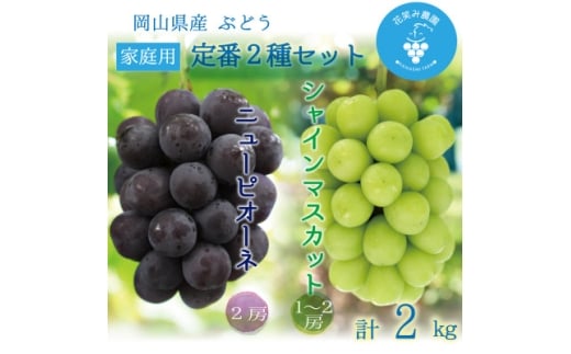 岡山　花笑み農園『ニューピオーネ&シャインマスカット』家庭用　約2kg　PS-2　9月中旬～順次発送【1626803】 2198373 - 岡山県津山市