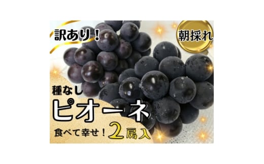 ＜2025年先行受付＞訳あり岡山県産ピオーネ1.2kg【1633343】 2198416 - 岡山県津山市