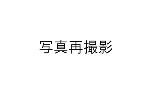  羽毛布団 【シングル】ポーランド産 ホワイトマザーグースダウン93% 1.3kg 2層キルト DP410 【S-27】