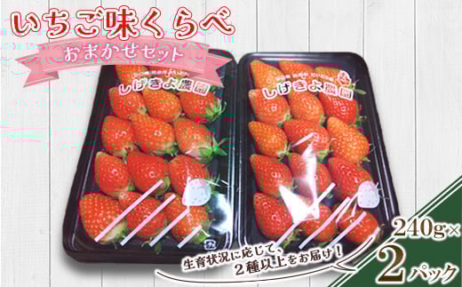 いちご味くらべ　おまかせセット(各パック240g×2(2種類以上))【1588404】