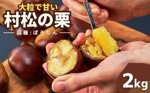 【先行予約】越後村松の栗 ぽろたん 2kg 新潟県 五泉市 村松特産振興協議会栗部会 2025年10月中旬から順次発送 621148 - 新潟県五泉市