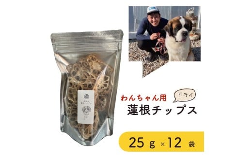 無添加・無塩　わんちゃん用乾燥蓮根チップス２５g　１２袋セット