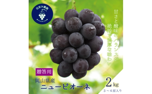 岡山　花笑み農園の『ニューピオーネ』贈答用　約2kg(3～4房)　P-2＜9月上旬～順次発送＞【1627358】 2198378 - 岡山県津山市