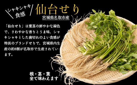 [ふるさと納税][お届け日時指定必須][産地直送]自由に楽しむ仙台せり鍋 漁亭浜やの自家製だし入りセット(肉無し) 根・茎・葉をすべて楽しむ 鍋 せり鍋 鍋セット