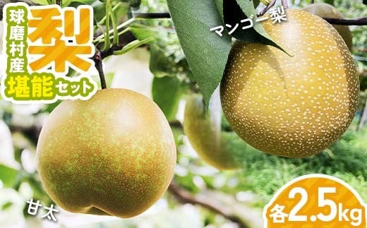 FKPZ-01 【先行予約】球磨村産梨　堪能セット（極あまっ！甘太＆マンゴー梨　各2.5kg） マンゴー梨 極あま セット 果物 フルーツ