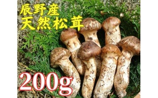 063 辰野産 天然松茸 200g