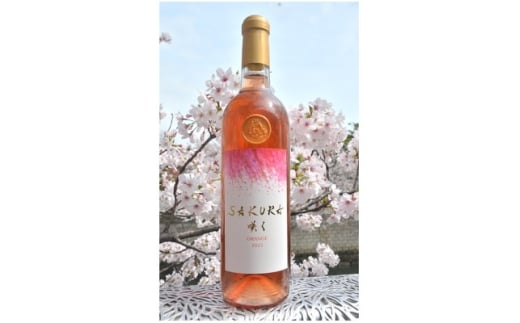 ＜数量限定＞佐倉産初のワイン!ピノ・グリのオレンジワイン　720ml×1本【1637211】