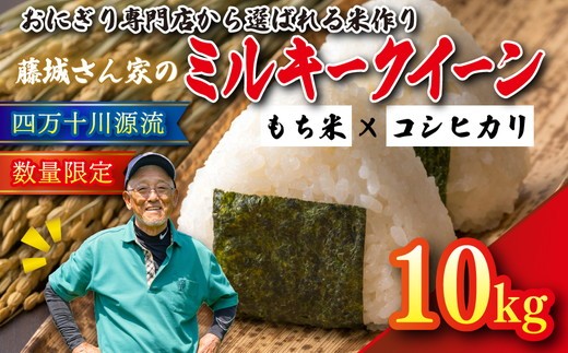 【おにぎり専門店御用達！】藤城さん家のミルキークイーン10kg【令和7年産】 ｜ ご飯 白米 お米 5kg 令和7年 定期便 令和7年産 10kg 精米済み 愛媛県鬼北町　※2025年9月下旬頃より順次発送予定