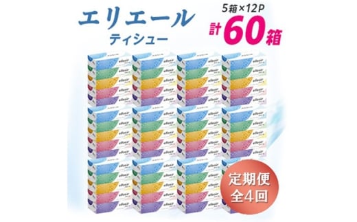 ＜3ヵ月毎定期便＞エリエール ティシュー 180組5箱×12パック(60箱) 全4回【4013084】