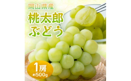 岡山県産桃太郎ぶどう　1房・約500g(クール便)【1614358】 2198353 - 岡山県津山市