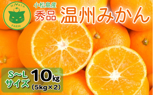 【2025年11月順次発送】 みかん 秀品 温州みかん10kg  早生みかん ミカン 蜜柑 甘い フルーツ 柑橘 ジュース 小松島市 5kg オススメ 人気 ふるさと納税