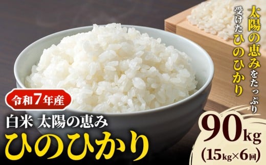【令和7年産】 岡山県産 ひのひかり 笠岡産 15kg×6回（計90kg） 太陽の恵み （白米） st-p