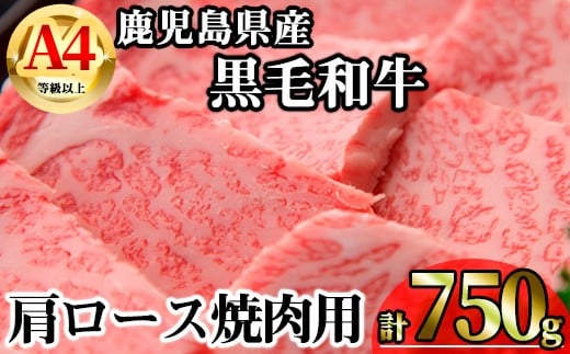 【数量限定】鹿児島県産黒毛和牛A4等級以上肩ロース焼肉用 (計750g＋黒毛和牛こま切れ250g×1P) 鹿児島県産 牛肉 冷凍 【KNOT】 A806-v01