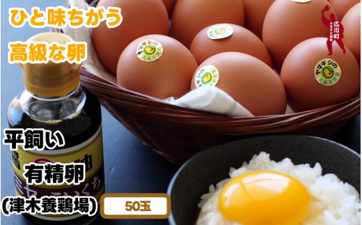 平飼い！高級 有精卵 50個入り（Lサイズ） / 玉子 たまご 高級 平飼い 贈答 【ymg609-p-50】