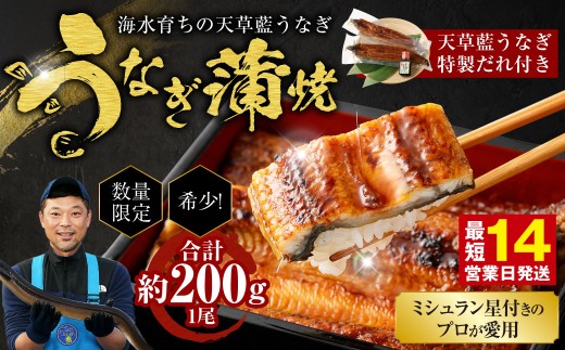 海水育ちの天草藍うなぎ 蒲焼き 1尾セット【合計約200g】