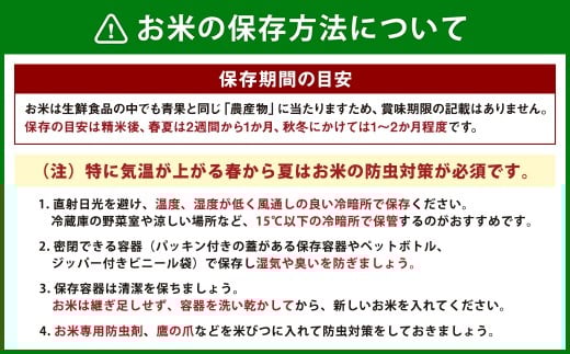 《令和7年産》北海道深川産 ななつぼし（普通精米） 5kg（5kg×1袋）