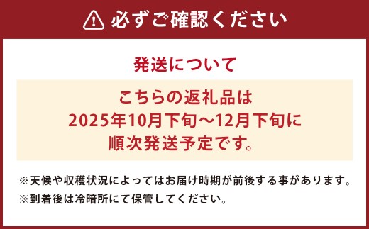 【2025年10月下旬より12月下旬迄順次発送予定】 王秋梨 （ マンゴー梨 ） 約2.5kg （ 4-7玉 ）