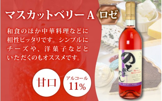 石川県穴水町のふるさと納税 【先行予約】能登ワインと言えばコレ！おすすめ 能登ワイン3本セット【2025年12月以降順次発送】｜ワイン わいん 赤 白 ロゼ ぶどう ブドウ 葡萄 熟成 牡蠣 かき カキ 能登 奥能登 テロワール  畑