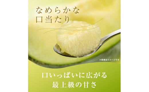 茨城県産 イバラキング L 6個 メロン 限定茨城県オリジナル品種‼️イバラキング(5L1個入り)：茨城県産
