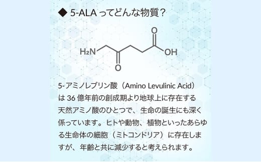 アイテムID:403469の画像6枚目