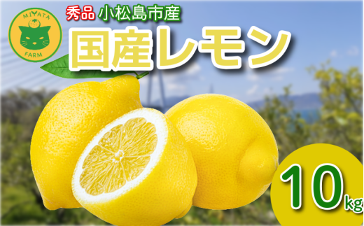 レモン 10kg 秀品 2025年10月順次発送 国産 レモン 檸檬 れもん ワックス不使用 防腐剤不使用 柑橘 果汁 フルーツ 果実 徳島 小松島市