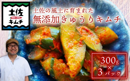【土佐キムチ きゅうり】 きゅうりキムチ 300g×3パック 無添加 自然派  ポリポリ キムチ 漬物 発酵 きゅうり キムチ 手作り てづくり 韓国 高知県 南国市  2200964 - 高知県南国市