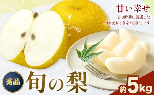 おまかせ梨 秀品 約5kg 日本フルーツ《8月上旬-10月末頃出荷》熊本県 長洲町 なし 梨 果物 フルーツ デザート ギフト ご贈答