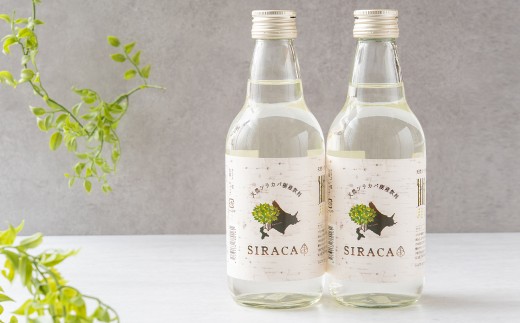 [1ヶ月毎2回定期] SIRACA Drink 360ml×2本 (合計1.44L) 2回定期便 白樺樹液 シラカバ樹液 白樺 シラカバ 樹液 飲料水 水 セット 定期便 北海道 蘭越町 常温