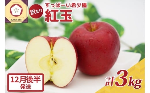 紅玉3kg 程度 紅玉リンゴ 訳あり 青森|タルトタタン に最適 不揃い りんご 【2025年12月後半発送】