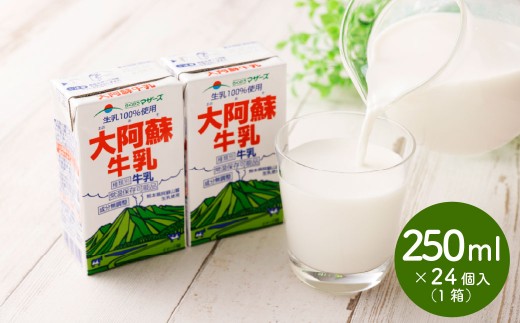 大阿蘇牛乳 250ml×24個入（1箱） 牛乳 ミルク 成分無調整 乳飲料 乳性飲料 紙パック パック ロングライフ 長期保存 常温 熊本県 上天草市