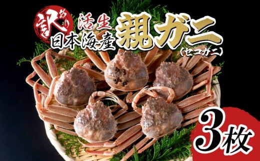 【先行予約】【活生】訳あり ご自宅用 親ガニ（セコガニ）3枚 2025年11月～順次発送｜鳥取 岩美 日本海 かに 松葉ガニ ズワイガニ【22066】