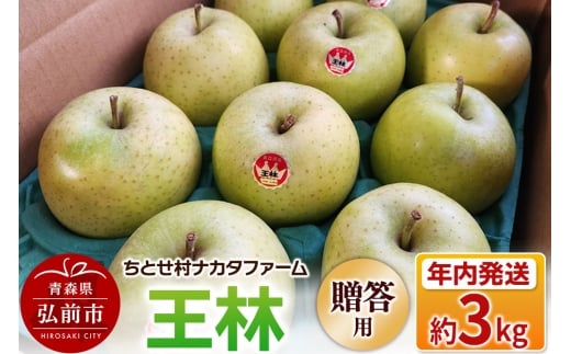 【25年11月～発送】りんご 王林 約3kg 贈答用 ちとせ村