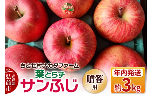 【25年11月～発送】りんご 葉とらずサンふじ 約3kg 贈答用 ちとせ村 929881 - 青森県弘前市