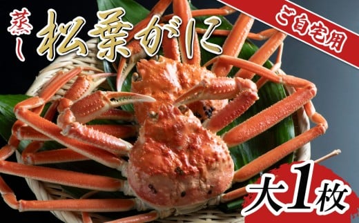【先行予約】【蒸し】ご自宅用松葉ガニ 大1枚 2025年11月～順次発送予定｜鳥取 日本海 松葉がに 松葉蟹 かに ズワイガニ【22061】