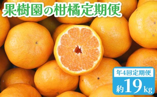 [先行予約]年4回 果樹園の柑橘定期便[2026年1月下旬発送開始]ポンカン5kg 不知火4kg 極早生みかん5kg 早生みかん5kg 合計19kg 定期便 不知火 しらぬい ポンカン みかん ミカン 蜜柑 くだもの フルーツ 果物