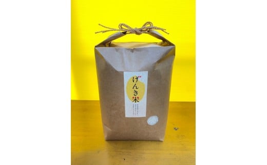島のめぐみ げんき米 (早場米 コシヒカリ) 5kg | 令和7年産 米 お米 白米 精米 ライス 早場米 コシヒカリ 種子島 種子島産 鹿児島県（5kg袋） 2198810 - 鹿児島県中種子町