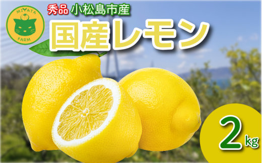 レモン 2kg 秀品 2025年10月順次発送 国産 レモン 檸檬 れもん ワックス不使用 防腐剤不使用 柑橘 果汁 フルーツ 果実 徳島 小松島市