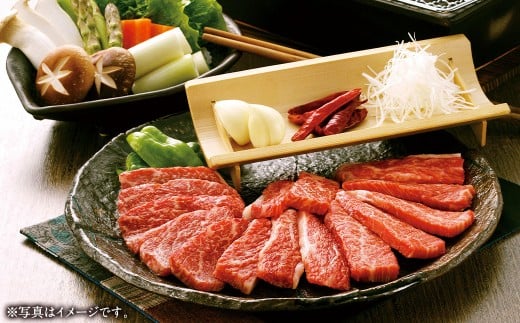 くまもと あか牛 (GI) 焼肉用 500g 牛肉 熊本 やきにく 焼き肉 贅沢 熊本 赤牛 褐牛 あかうし 褐毛和種 肥後 国産 冷凍 熊本県 西原村