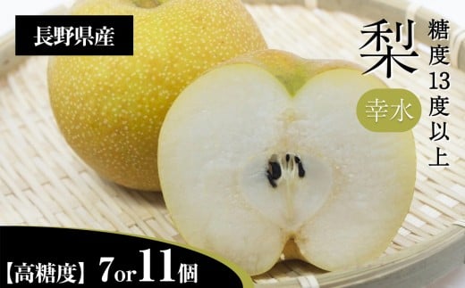 梨 幸水 3L クラスの 大玉 で 糖度 13度 以上 [選べる内容量] | 果物 くだもの フルーツ 梨 なし 新鮮 信州 贈答用 プレゼント 贈り物 長野県 飯田市