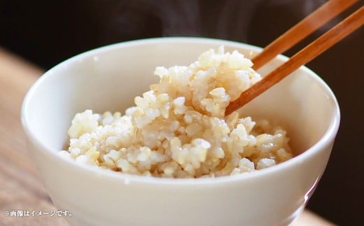 【令和7年産】静岡県産コシヒカリ 玄米 5kg （5kg×1袋） 【2025年8月下旬～2026年8月下旬迄順次発送予定】 コシヒカリ こしひかり  米 コメ こめ ご飯 ごはん 新米 菊川市 静岡県