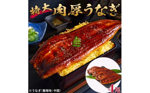 特大うなぎ蒲焼き無頭1本もの4尾セット 福岡市（中国産）