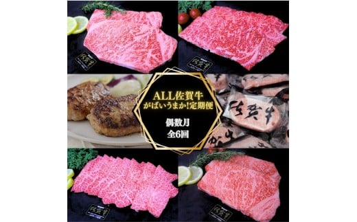 【偶数月に計６回】ALL 佐賀牛 がばいうまか 定期便 J1389 2200404 - 佐賀県伊万里市