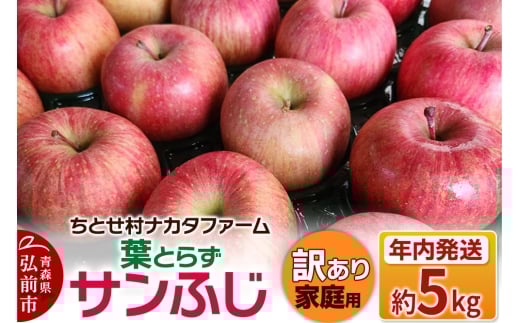 【25年11月～発送】りんご 葉とらずサンふじ 約5kg 家庭用 訳あり ちとせ村【レビューキャンペーン】 1341073 - 青森県弘前市